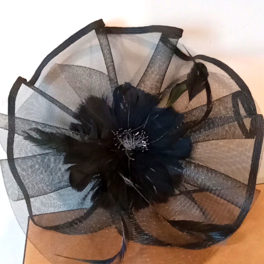 Black feather mesh hat